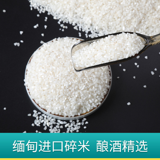 广州缅甸优质碎米双抛双选品质米粉米线专用米源头供应长期货源稳定