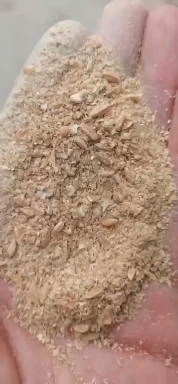 小麦麸皮含碎麦，无沙土