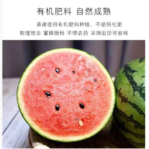 北京中国西瓜之乡  庞各庄西瓜600