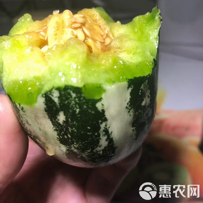 博洋甜瓜 山东博洋9品质优良货量大口感脆甜爽口大量采摘发货支