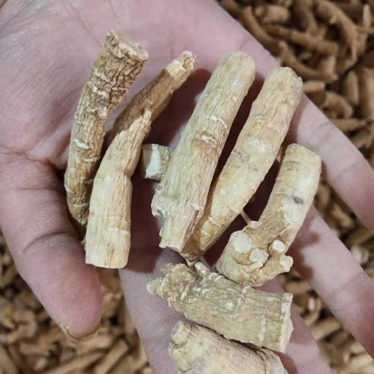 .批发西洋参粗丁500克包邮花旗参段腿煮汤大丁小丁西洋参