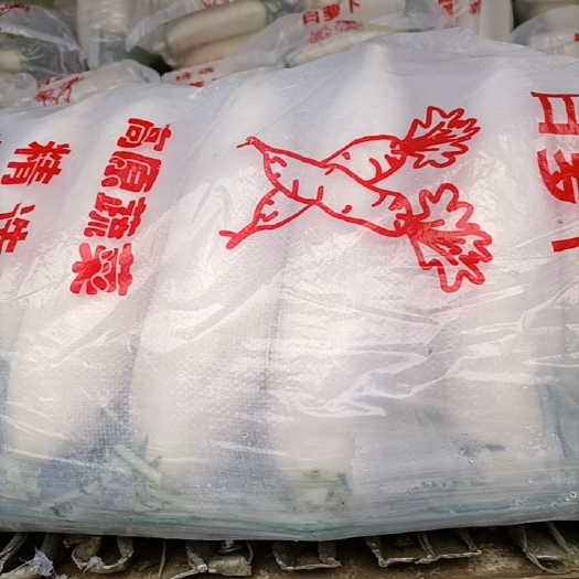 广州 优质白萝卜条行好