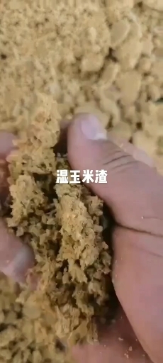 无棣县 玉米渣，适用于鸡鸭鹅牛羊猪，直接投喂