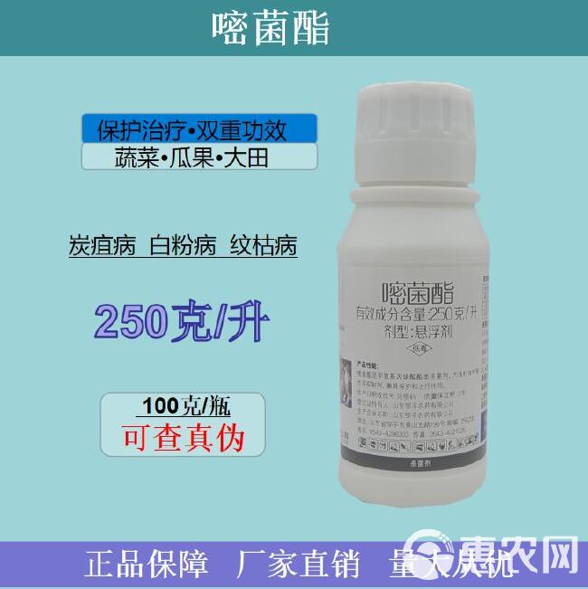 嘧菌酯叶斑病白粉病锈病纹枯病农用杀菌剂厂家直销