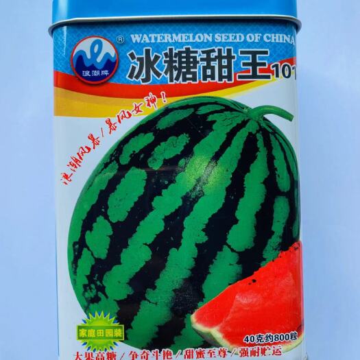 沭阳县冰糖甜王101西瓜种子大果高糖强耐贮运早熟高产抗病皮薄抗裂