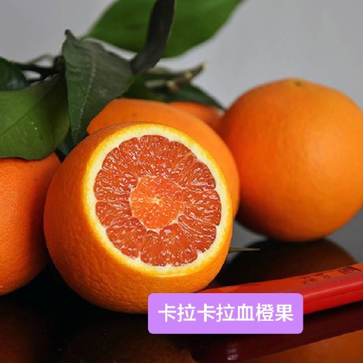 灵山县卡拉卡拉红肉脐橙苗 血橙大果子香甜汁水多好吃新品种嫁接苗