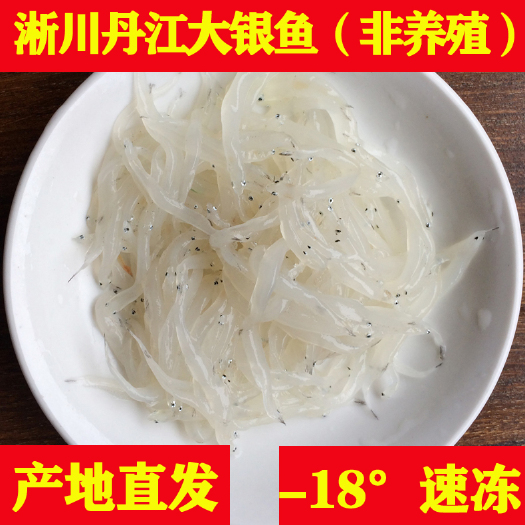淅川县淅川银鱼天然非养殖速冻大银鱼无骨无刺补钙宝宝辅食丹江冷冻银鱼