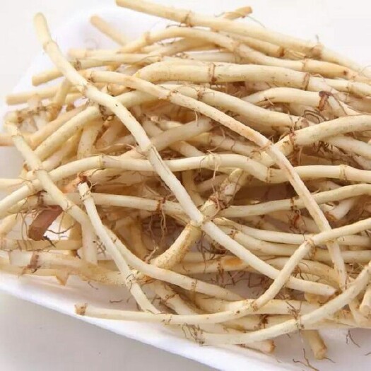 贵阳鱼腥草根 折耳