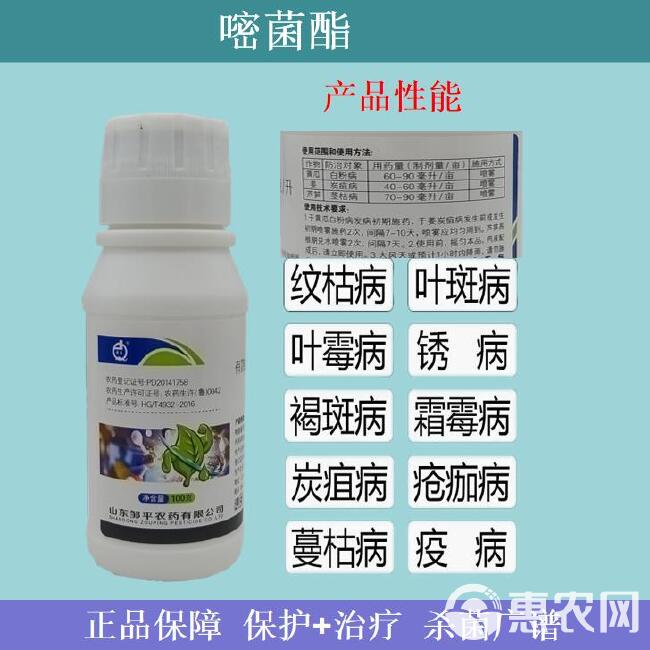 嘧菌酯叶斑病白粉病锈病纹枯病农用杀菌剂厂家直销