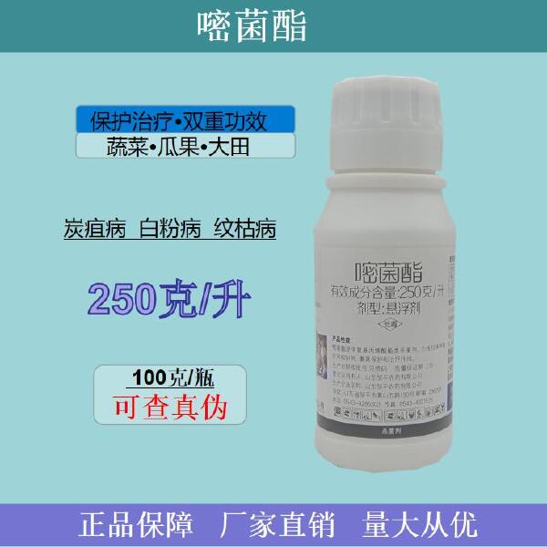 嘧菌酯叶斑病白粉病锈病纹枯病农用杀菌剂厂家直销