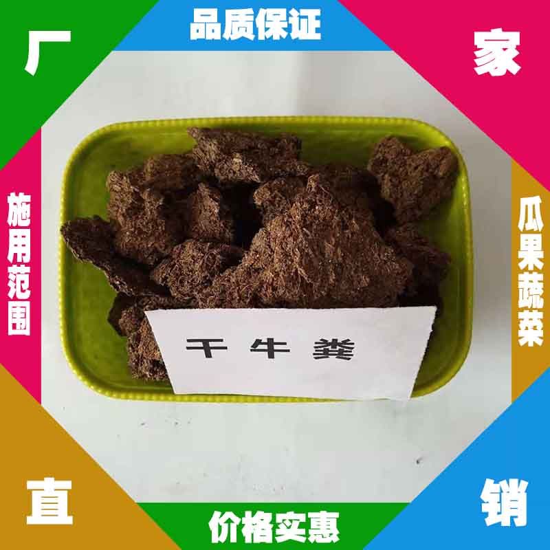 浙江发酵牛粪生产厂 嘉兴干牛粪批发 台州牛粪 金华干牛粪批发