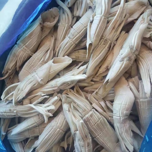 成都枪乌贼 火箭鱿鱼，网红爆款