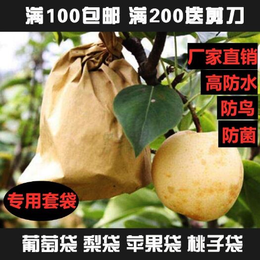 义乌市种植套袋 苹果梨桃子葡萄枇杷专用水果套袋防虫防水保护袋