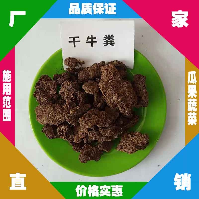 浙江发酵牛粪生产厂 嘉兴干牛粪批发 台州牛粪 金华干牛粪批发