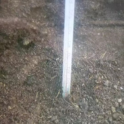 利津县腐熟高效有机羊粪