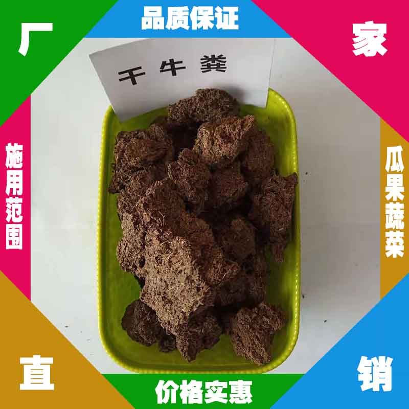 浙江发酵牛粪生产厂 嘉兴干牛粪批发 台州牛粪 金华干牛粪批发