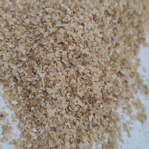 蚌埠麦麸 优质大片麸皮