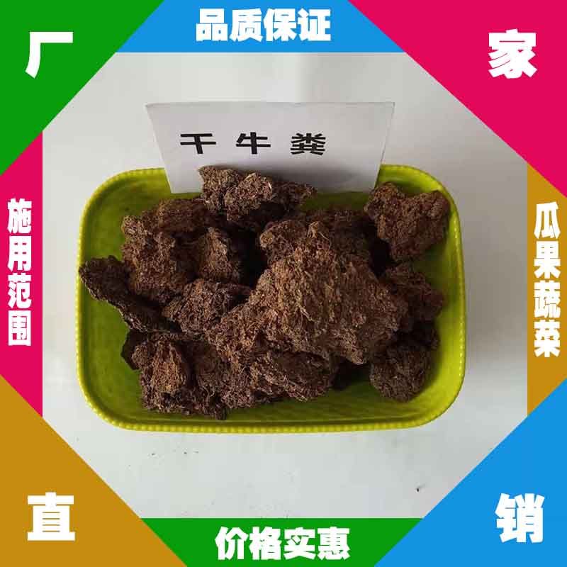 浙江发酵牛粪生产厂 嘉兴干牛粪批发 台州牛粪 金华干牛粪批发