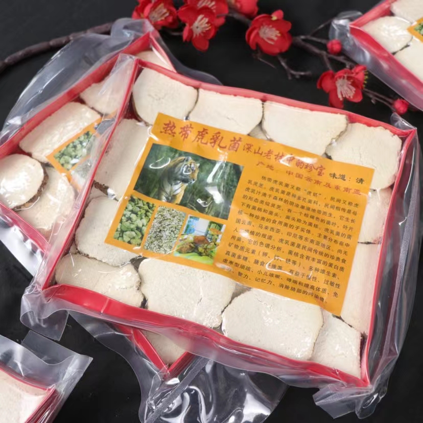 广州虎奶菇大片原产地直供 实物拍摄一手货源