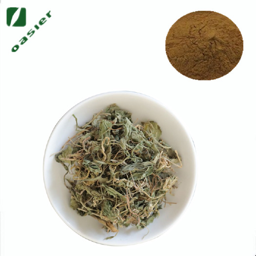 宝鸡饲料添加剂 欧泽生物  饲料级紫花地丁提取物10:1 紫花地丁粉 多规格