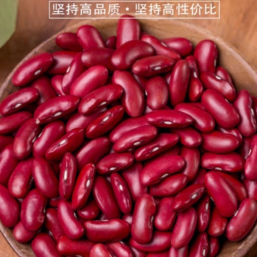 蔚县红芸豆河北省张家口，自家种植，营养丰富，颗粒饱满，人工挑选