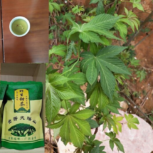 金秀县金秀大瑶山甜茶
