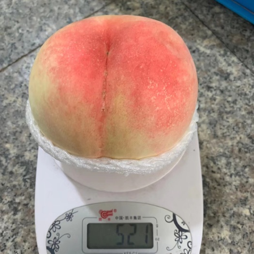 白凤桃 【阳山水蜜桃】白富美桃王白凤 精品礼盒豪6装汁多味