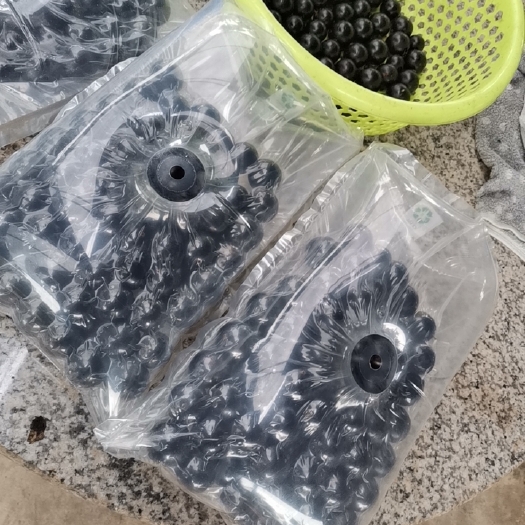 东莞市树葡萄 嘉宝果，水果之王，其营养价值比其它的水果高，口感好，
