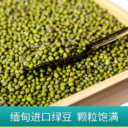 广州大颗粒油绿豆熬粥做馅原料油绿豆杂粮袋装中颗粒油绿豆明绿豆