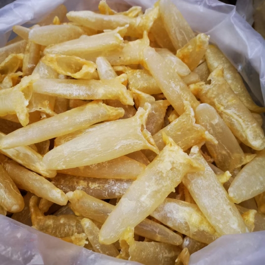 抚松县花胶 大量鱼胶鱼瞟各种规格欢迎咨询