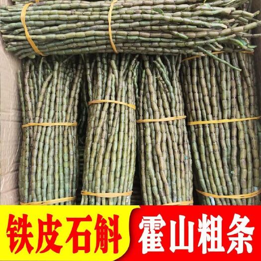 昆明【铁皮石斛】正宗石斛鲜条 新鲜石斛 养生石斛花茶