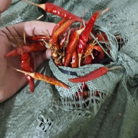 临高县朝天椒干辣椒