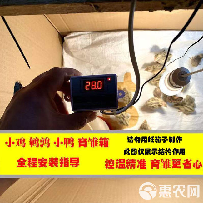 热风炉 小鸡保温箱自动控温鹌鹑保温箱小鸟宠物育雏保温自动加热