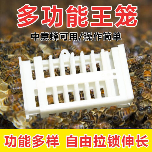 蜜蜂王笼  王笼 中蜂多功能蜂王笼 中意蜂通用囚王笼 中蜂蜂