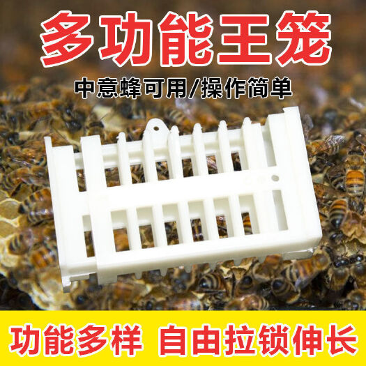 乐清市蜜蜂王笼  王笼 中蜂多功能蜂王笼 中意蜂通用囚王笼 中蜂蜂