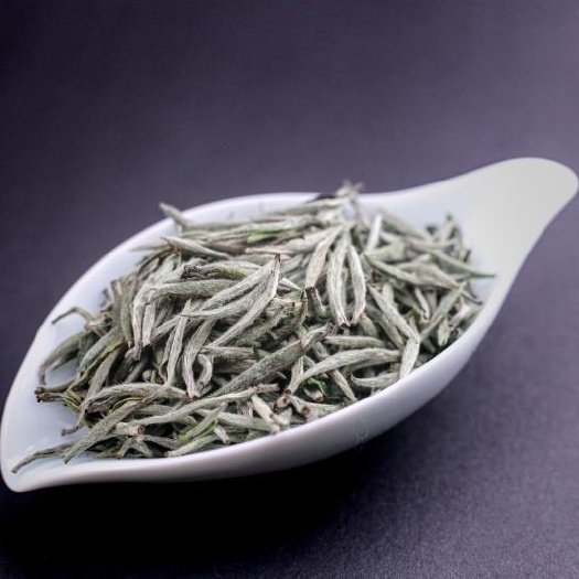 金沙县白毫银针 白茶