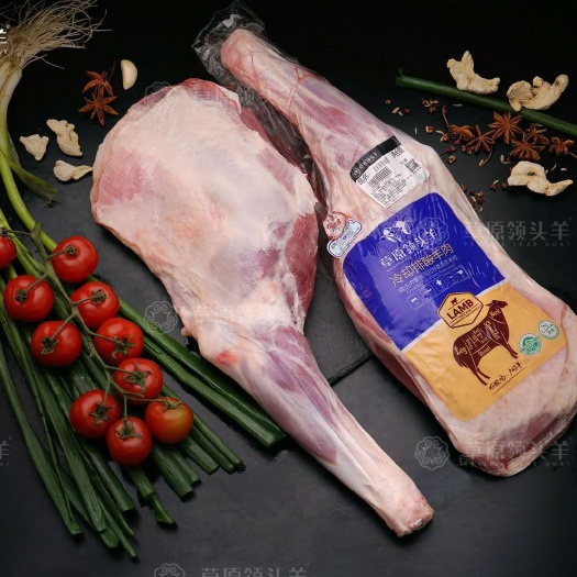 成都羊腿肉  羔羊 草原领头羊羊腿