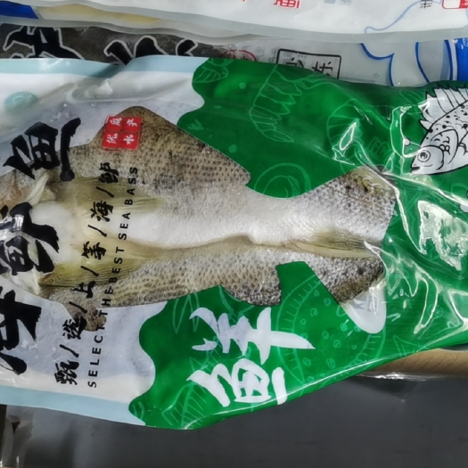 济南海鲈鱼