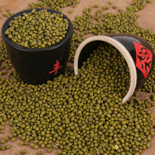 绿豆 大量批发东北 绿豆  易煮烂 量大从优