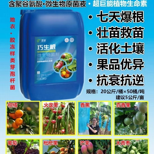郑州微生物菌剂 菌肥 巧生根 强力生根蔬菜花卉生根壮苗量大从优
