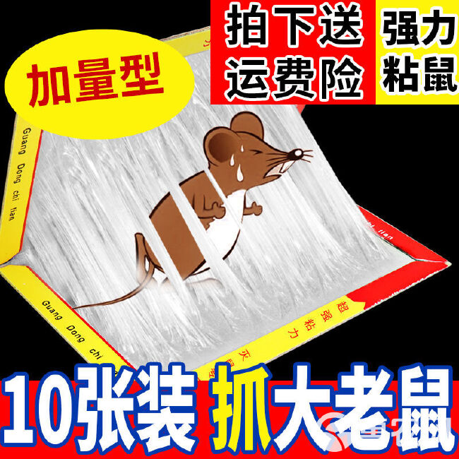 捕鼠贴 老鼠板粘鼠贴家用强力粘鼠板捕鼠灭鼠器老鼠贴高粘度强