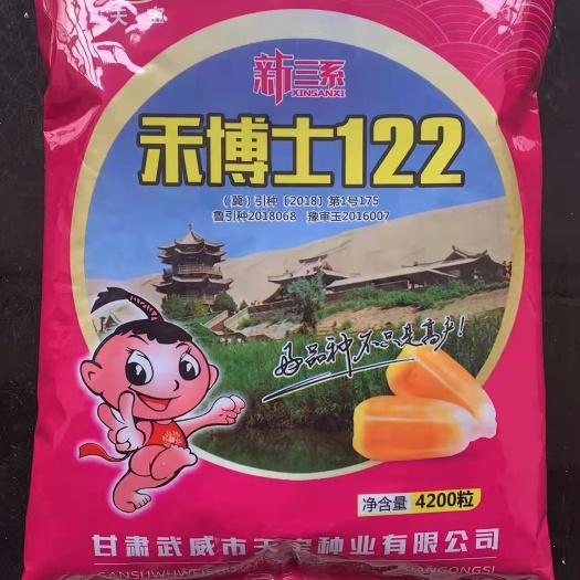 献县禾博士126玉米种子 禾博士122
