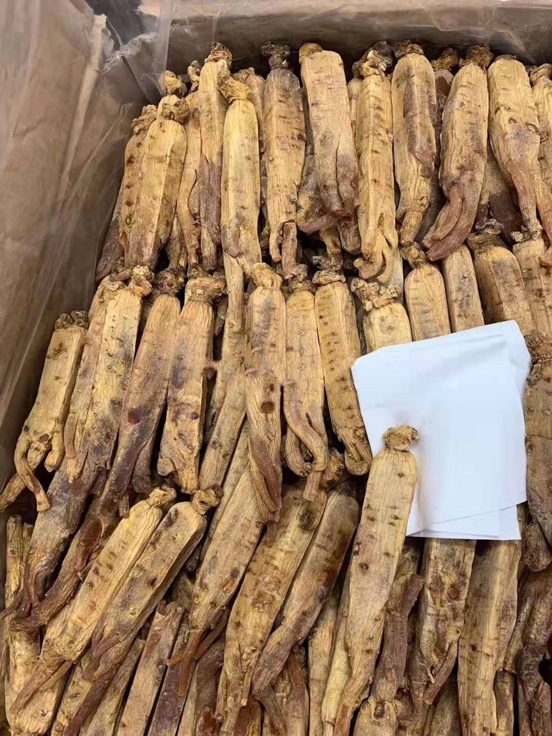 【长白山发货】高丽参黄皮红参片黄马褂高丽参片多规格可选包邮