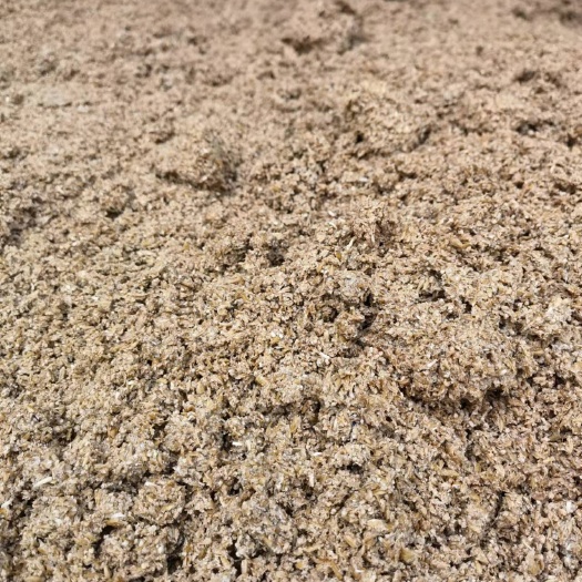 东莞市新鲜啤酒糟，粗糟，水分低，蛋白高，价格实惠