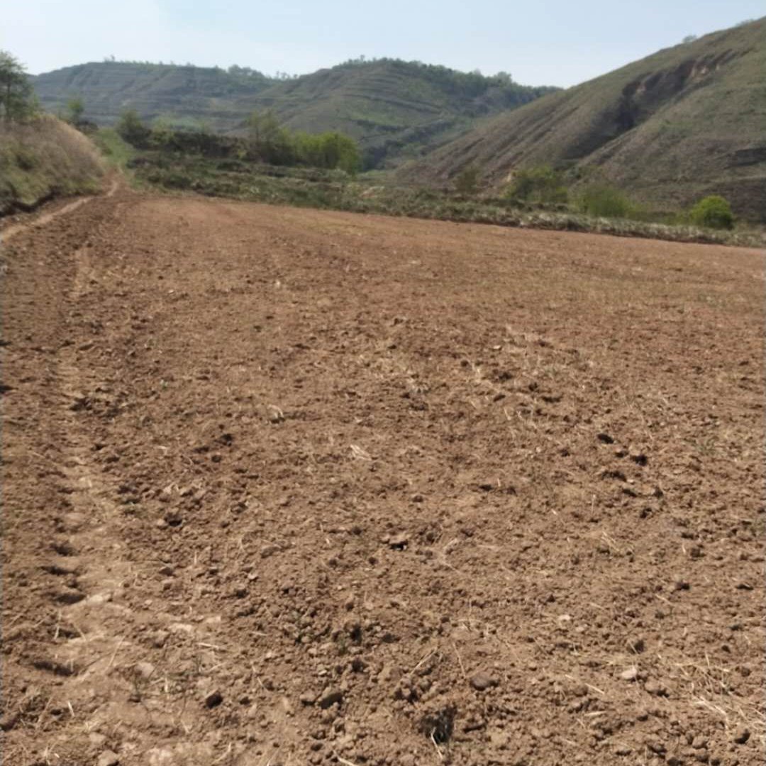 礼泉可以水浇的山地