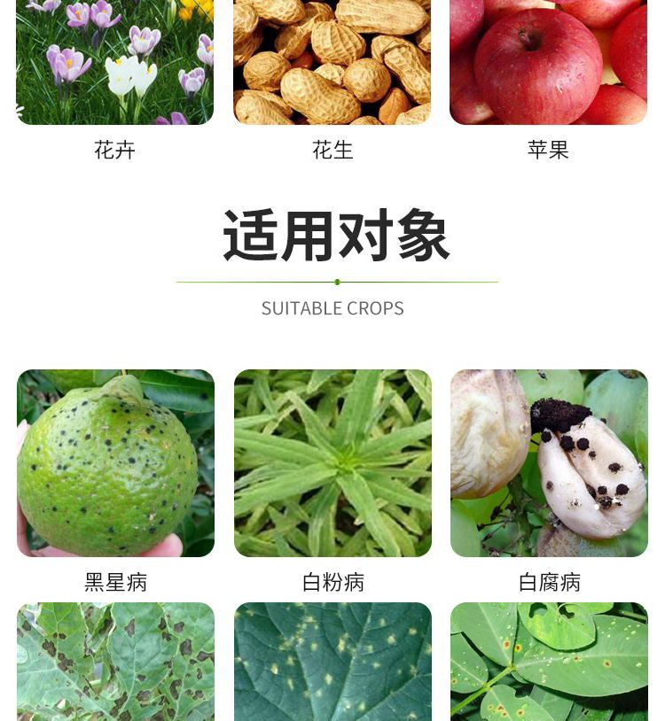 農(nóng)藥殺菌劑百菌清藍(lán)袋果樹(shù)蔬菜草莓炭疽病褐斑病霜霉病土壤消毒劑