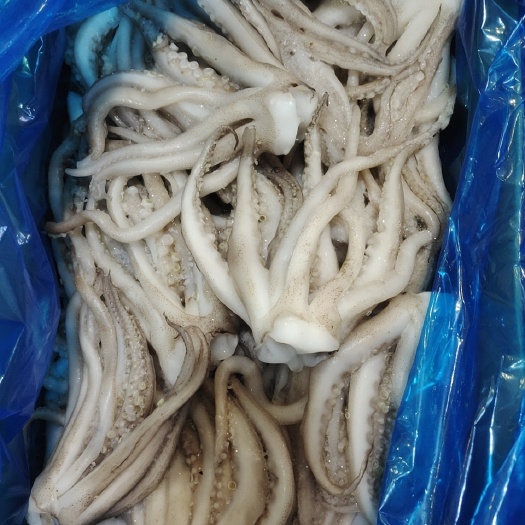 重庆市 鱿鱼须