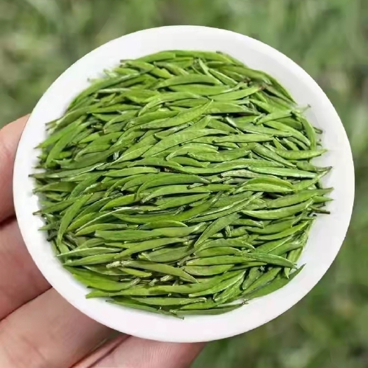 湄潭县雀舌茶 湄潭翠芽   雀舌