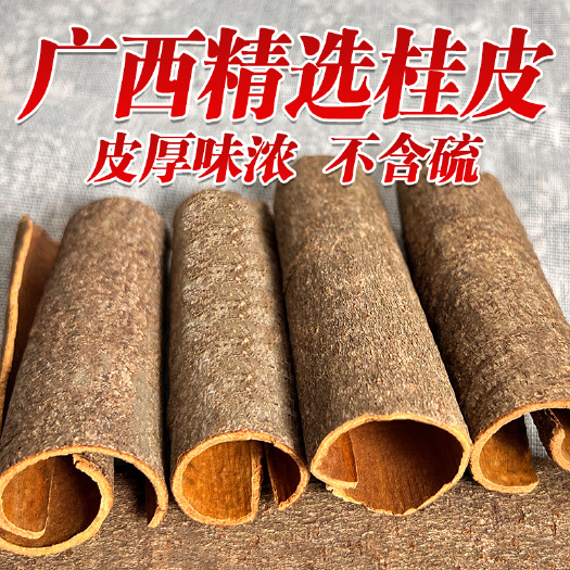 玉林普通桂皮 广西桂皮批发厂家直供肉厚味浓无硫新货