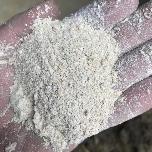 石家庄 小麦次粉